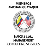 NAICS 54161 Management Consulting Services